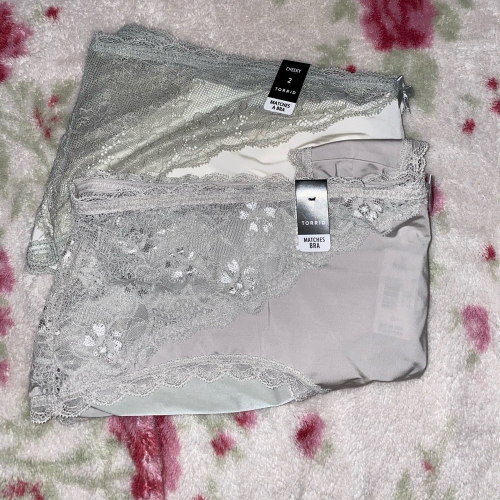 2 MICROFIBER & LACE TRIM CHEEKSTER PANTIES